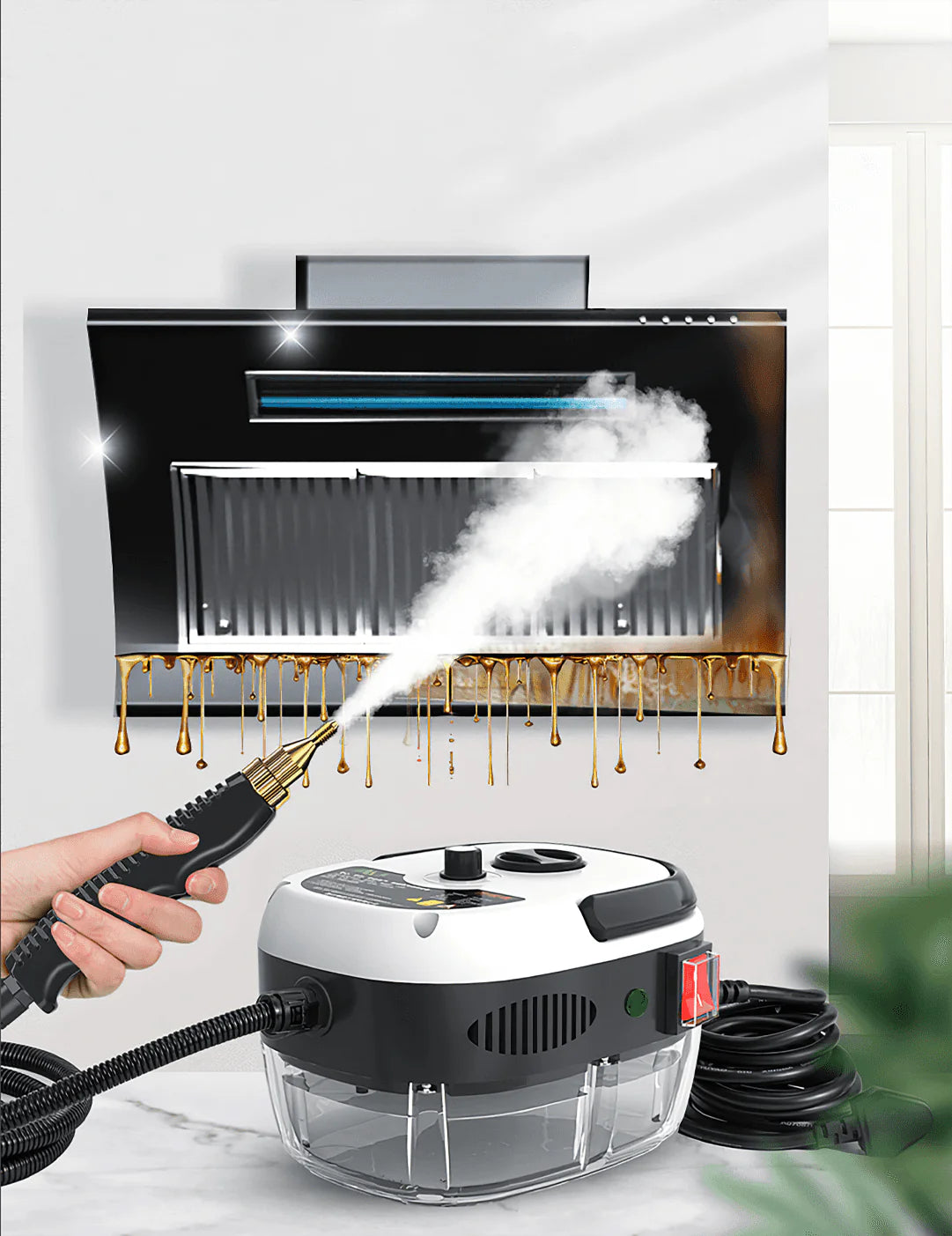 Pro Steam Cleaner 2500W