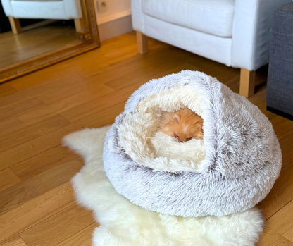 Cozy Pet Bed 50% OFF store wide