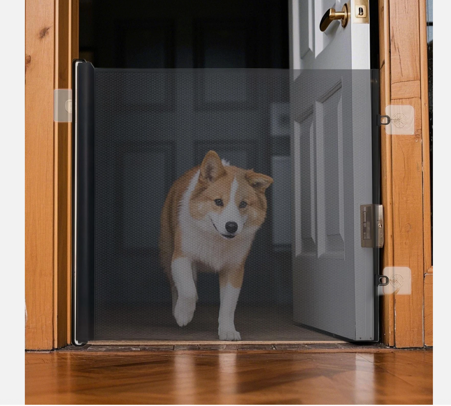 Retractable Pet Safety Gate
