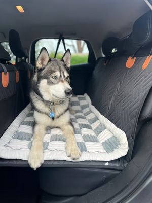 Screenshot 2025-11-15 at 4.02.30 pm.png