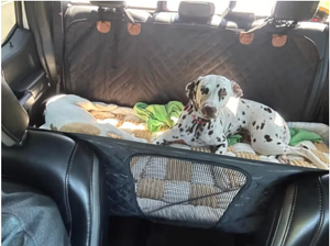 Screenshot 2025-11-15 at 4.02.51 pm.png