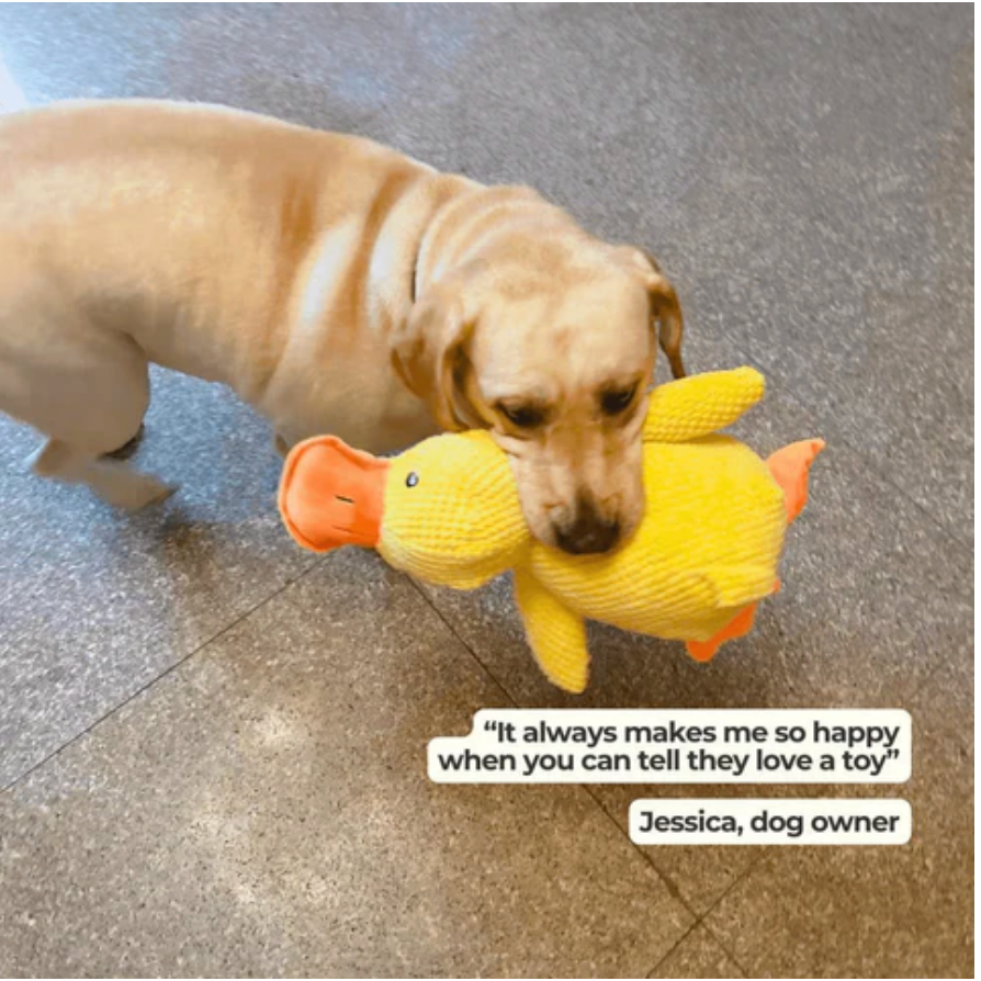 Calming Duck Plush Toy