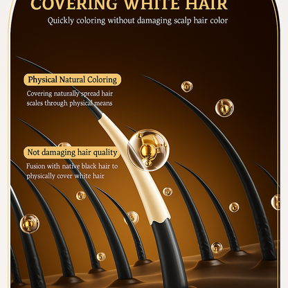 Cross-Border Disposable Hair Dyeing Comb