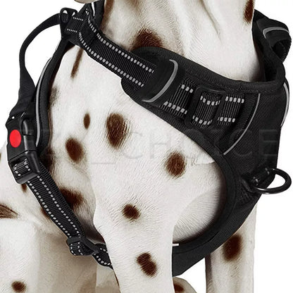 Dog Harness