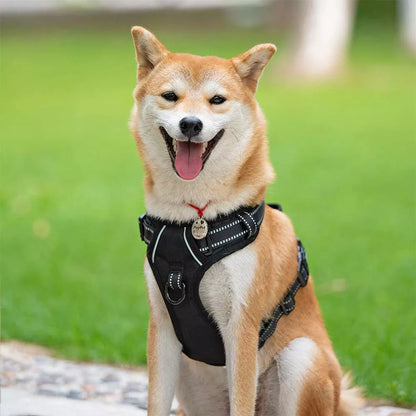 Dog Harness
